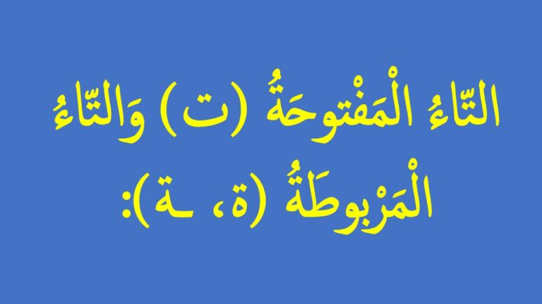 ورقة عمل التاء المربوطة والتاء المفتوحة